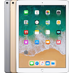 iPad Pro 12,9 inç (2. nesil)